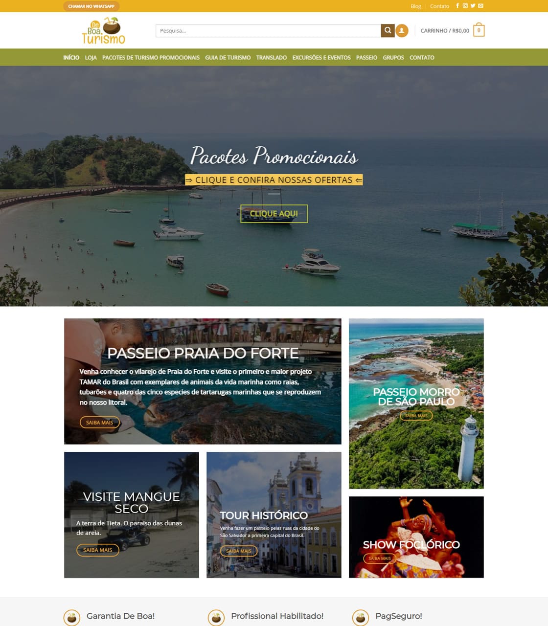 Print da página principal do site De Boa Turismo.