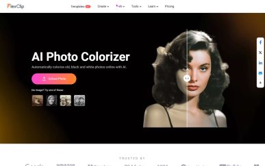 Interface do AI Photo Colorizer da FlexClip, mostrando uma foto preta e branca colorizada com inteligência artificial.