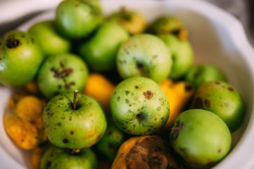 Frutas frescas ilustrando o post sobre site para nutricionista e o Código de Ética do CFN